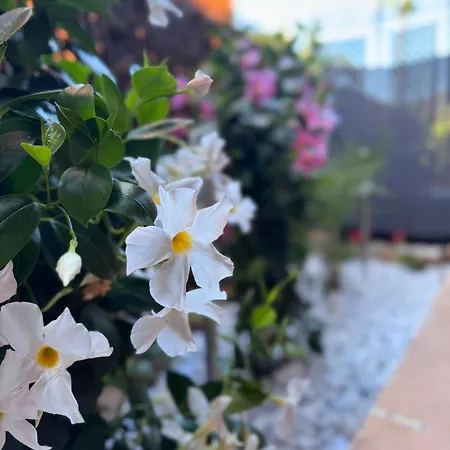 Apartmán Lou Soleil *